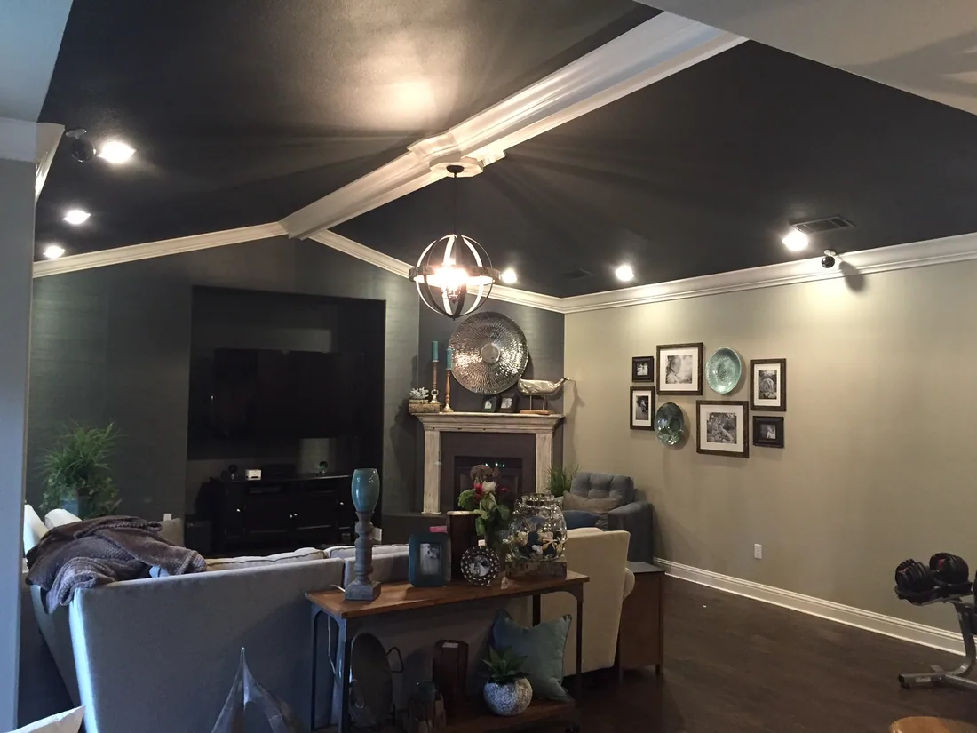 Living room with painted walls, a dark feature ceiling and white trim